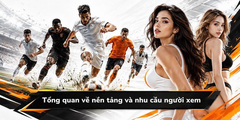 Tổng quan về nền tảng và nhu cầu người xem